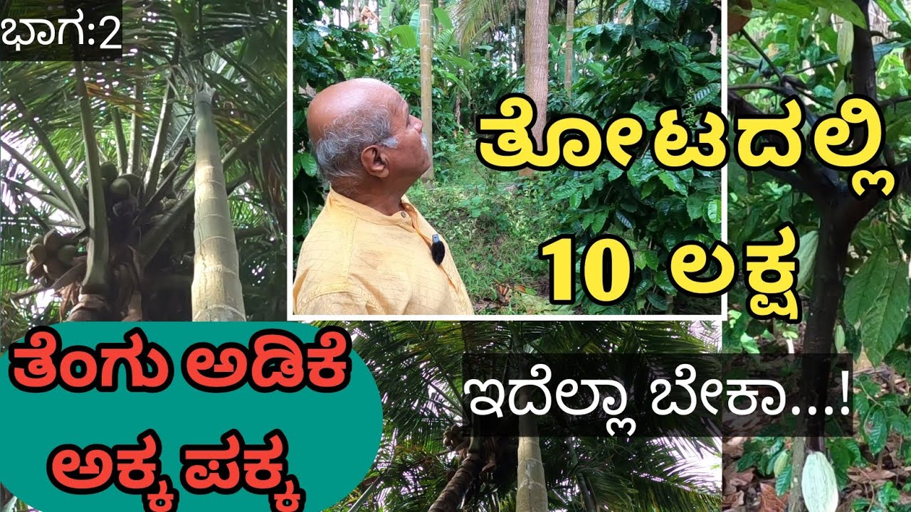 ಒಂದು ವರ್ಷಕ್ಕೆ ನನ್ನ ತೋಟದಲ್ಲಿ ಐದರಿಂದ ಆರು ಲಕ್ಷ ಸಂಪಾದನೆ ಇದೆ... ಅಂತ ಸುಳ್ಳು ಯಾಕ್ ಹೇಳ್ಲಿ