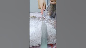 Phi Lê Cá Ngừ Khổng Lồ Phần 1 - Xem Full Clip Tại Comment Nha Cả Nhà!