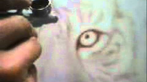 part 2 of airbrush tiger