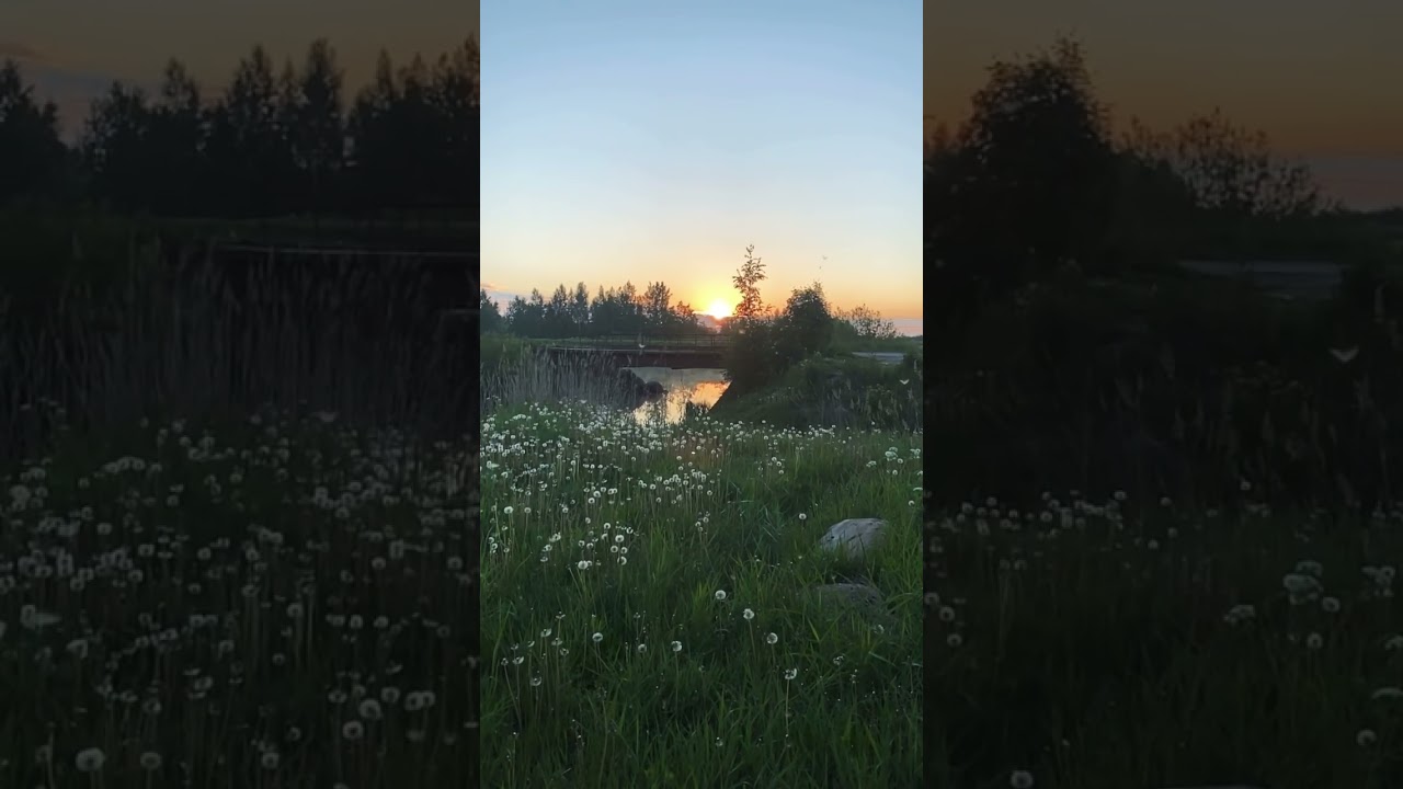 ВОЛШЕБНЫЙ РАССВЕТ🌿☀️ 