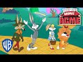Cortos ACME | ¡Los Looney Tunes en el universo de El mago de Oz! | @WBKidsEspana