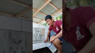 Linis Nitso Undas 23