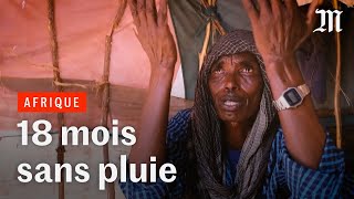 En Ethiopie, pas une goutte de pluie n’est tombée en dix-huit mois