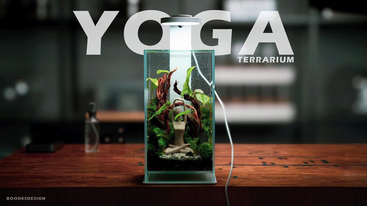 Step by Step Making YOGA Terrarium / خطوة بخطوة عمل تصميم اليوقا