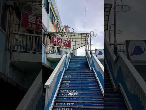 #전통시장 서문시장 꼬꼬닭강정