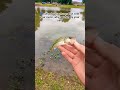 it's different with a bud 👇🏾🔔 #bassproshop #fishing #bassfishing #bassmaster #basspro #viralshort