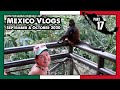 Mexico Part 17: Our Last Day In Mexico, Drone Footage, One More Monkey, Traveling Home - ParoDeeJay