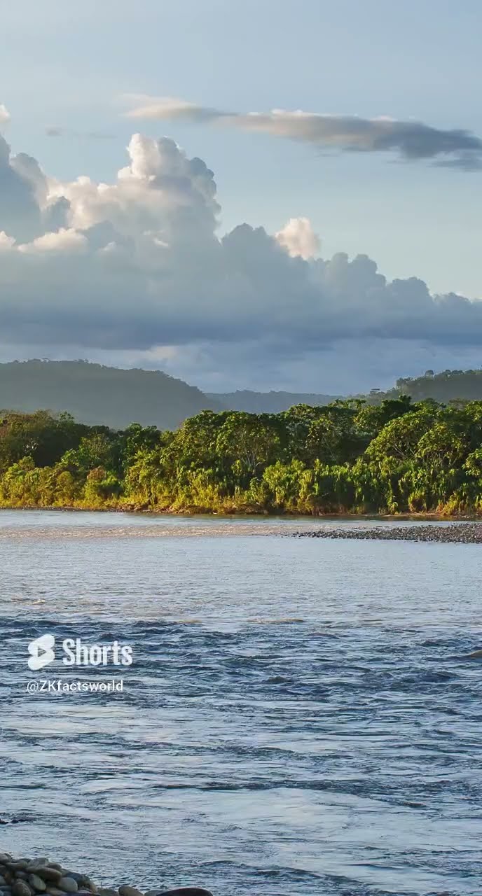 The Amazon River South America's Lifeline through the Vast Rainforest 