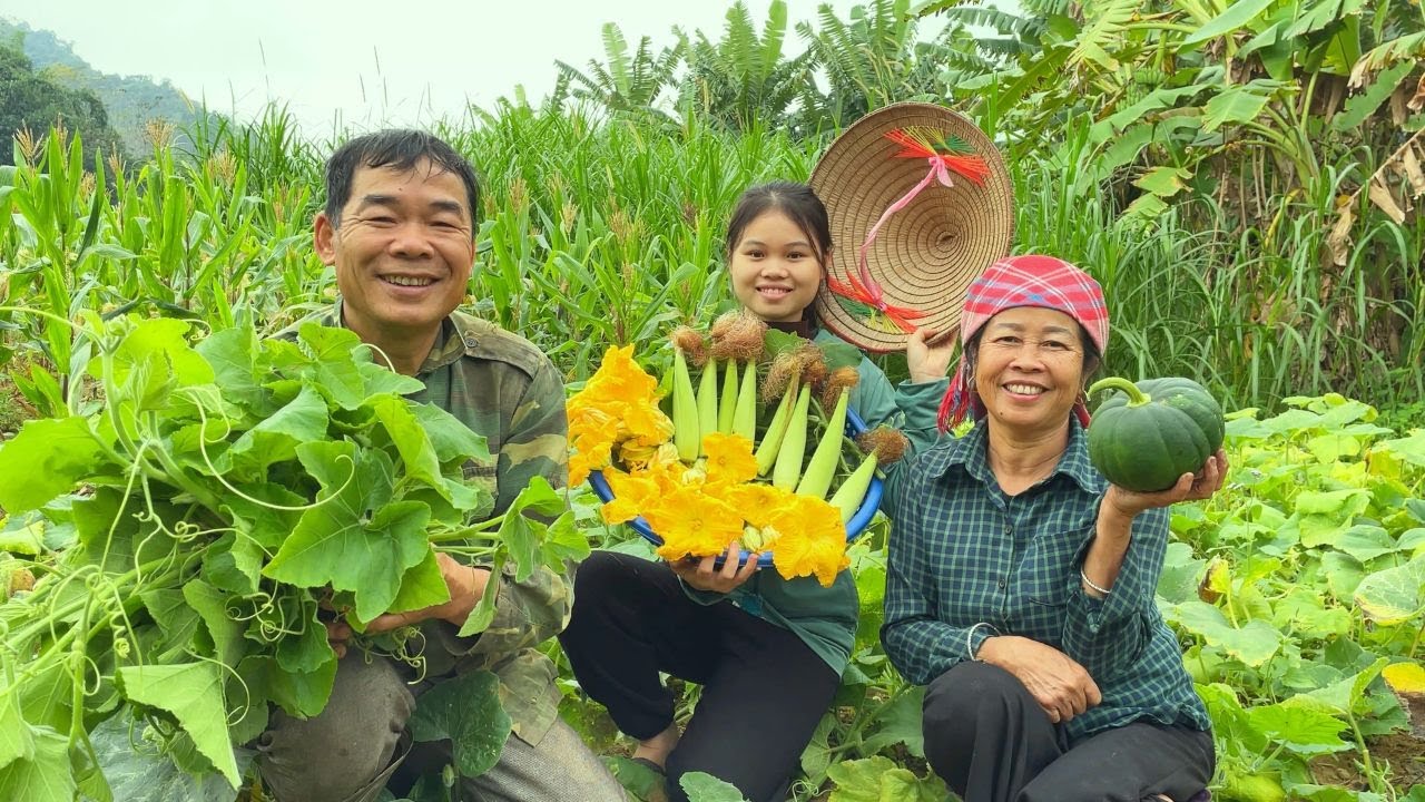 Harvesting squash blossoms. A day of work in the countryside Farmer's life Hoang Thi Soi