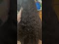 Hair transformation