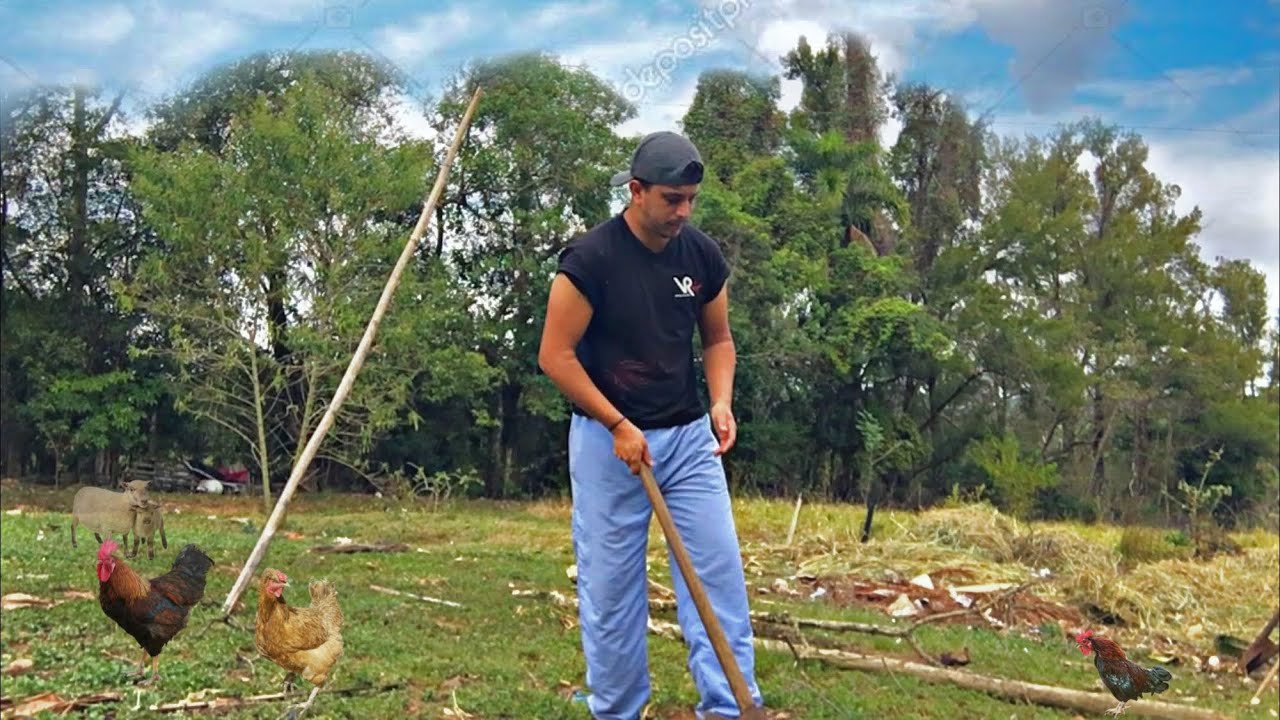 NOSSO SIMPLES ALMOÇO ESPECIAL na ROÇA - primeiro recebido do canal 🎁🥰