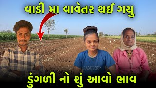 ડુંગળી નો કેટલો ભાવ આવો હશે 🤔 | વાડી મા વાવેતર થઈ ગયુ | Village Lifestyle Vlogs | Shantibaraiyavlogs