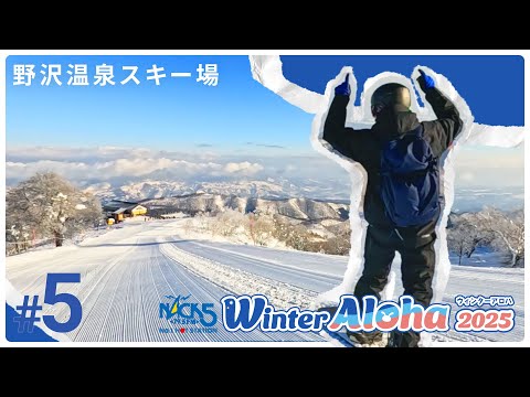 Nozawa Onsen Snow Resort: 10km Ski Run Through Abundant