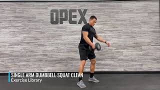 Single Arm Dumbbell Squat Clean