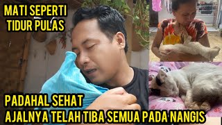 Download lagu Death Has Arrived Even Though the Cat Puput Was Healthy, It Has Died...‼️