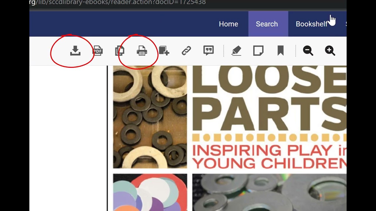Electronic Book Access in Catalog at NSC YouTube