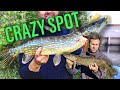 FISHING REMOTE ABANDONED LAKE FOR PIKE