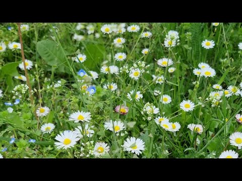 طبيعة البوسنة و الهرسك الجميلة سراييفو