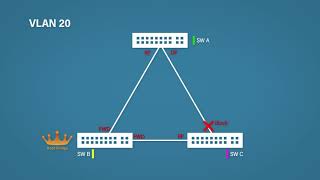 Spanning Tree Protocol Explained   Step by Step