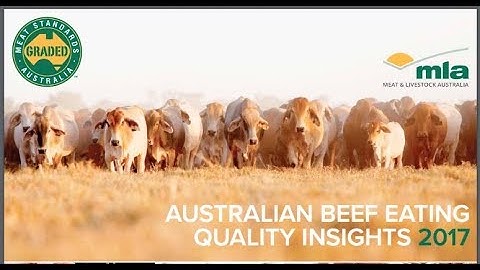 MyMSA Series FAQ: Feed Type