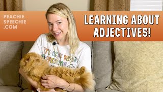 Learning About Adjectives by Peachie Speechie