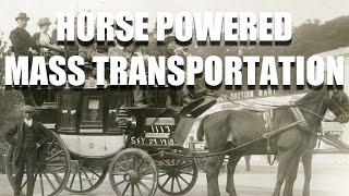 Economic History: Horse Powered Mass Transportation