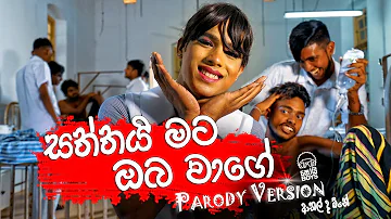 Shoi Boys - Saththai Mata Oba Wage (සත්තයි මට ඔබ වාගේ) Parody Song