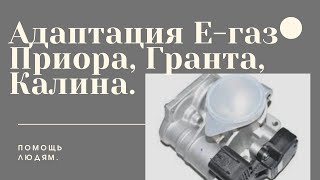 Адаптация электрон. педали газа Приора, Гранта, Калина.