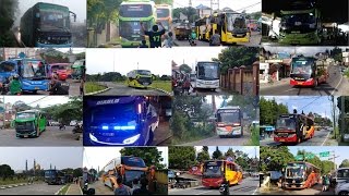 Kompilasi Macam Macam 'TELOLET' Bus di Indonesia