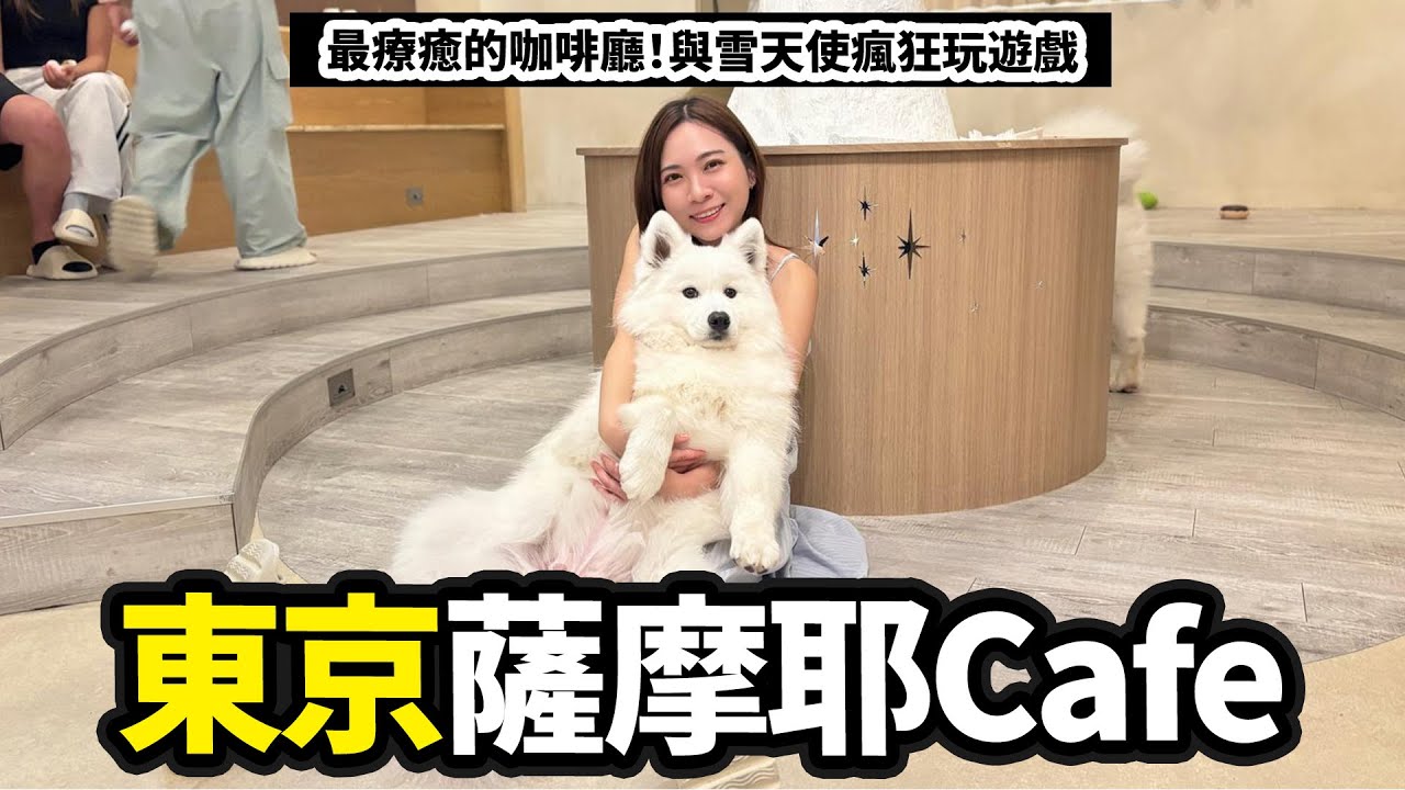 最療癒的東京咖啡店！原宿巨大薩摩耶狗狗Cafe｜與雪天使瘋狂玩遊戲