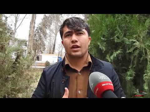 نوریالی اکبری فعال مدنی