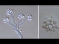 Антофиза. Anthophysa