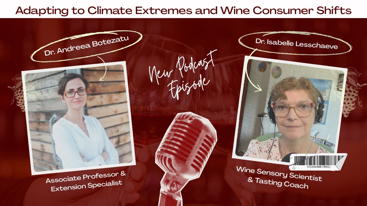 11. Adapting to Climate Extremes and Wine Consumer Shifts: Lessons from Dr. A. Botezatu, Texas A&M