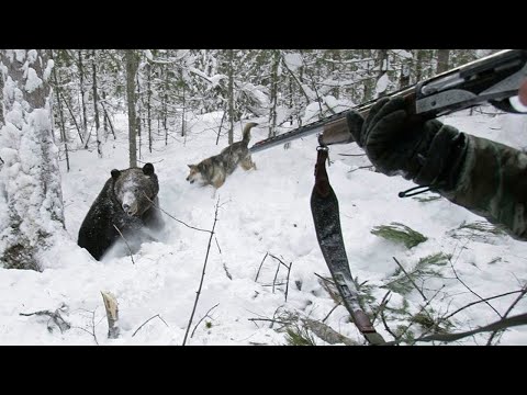 💥ТОП СМЕШНЫХ и курьезных таежных историй! Случай в тайге!