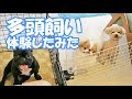 多頭飼い体験！犬友さんのわんちゃんお預かり1泊2日～初日編～