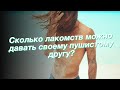 Сколько лакомств можно давать своему пушистому другу?