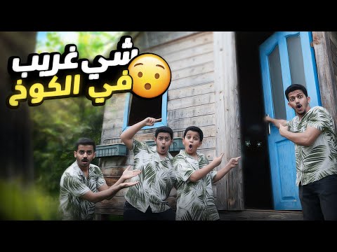 فيديو: هل الصندوق قفص أم جزء من كوخ؟