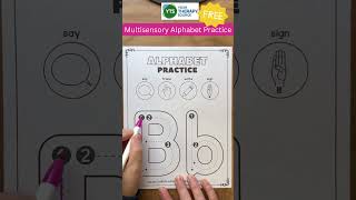 Multisensory Alphabet Practice Freebie