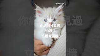 《超可愛!小白貓衝出3D電視牆,萌到路人全停下來看!》#小白貓 #3D裸視螢幕 #立體動畫 #萌寵出牆 #電視牆驚喜 #可愛爆擊 #裸視3D