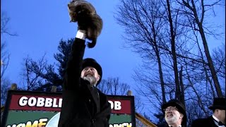 Punxsutawney Phil makes Groundhog Day prediction: More winter or early spring?