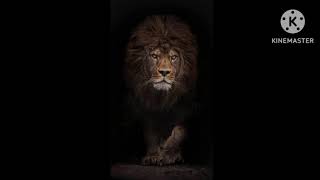 Bhagwant Maan, Bhana Sidhu, Khalistan, India. New Zeland Lion Group Shindi.