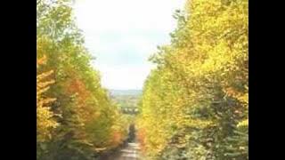 Download lagu KOI KITARO