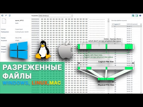 Разреженные файлы в Windows, Linux и MacOS, файловых систем NTFS, REFS, Ext3, Ext4, BTRFS и APFS 🐧🍏