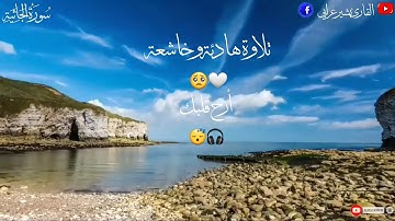 سورة الجاثية | القارئ بشير عرابي | تلاوة هادئة وخاشعة