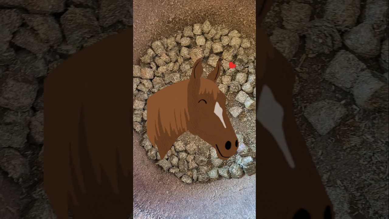 How Horses Eat Hay Cubes! 🐴 #cwelitecowhorses #alfalfa #haycubes #horse