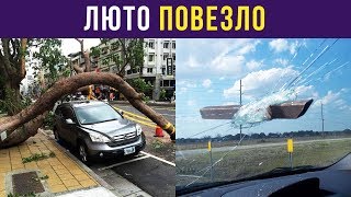 Приколы. 35 случаев, когда реально ПОВЕЗЛО | Мемозг #105 Приколы. 35 случаев, когда реально ПОВЕЗЛО | Мемозг #105