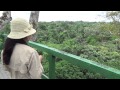 The Canopy Observation Tower at Napo Wildlife Center, Yasuni National Park