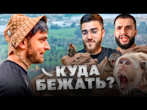 НА РАВШАНА НАПАЛА ОБЕЗЬЯНА В ЛЕСУ ПХУКЕТА !🐵| САМЫЙ БОЛЬШОЙ ОСТРОВ ОБЕЗЬЯН !?