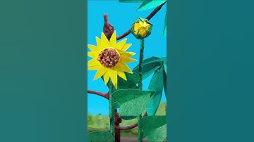 Thumbnail of Warm up your end-of-winter blues with "What a Wonderful World" by Louis Armstrong!