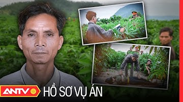 Giải phẫu tử thi bắt kẻ giết phụ nữ dưới chân núi Chư Mố - Đòn quyết định| Hồ sơ vụ án mới nhất 2023